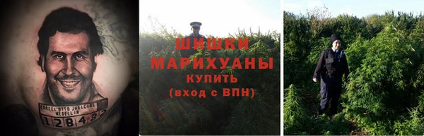 сатива Алексин