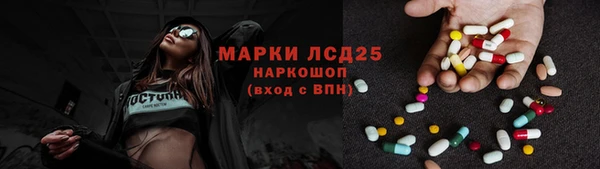 прущие грибы Нязепетровск