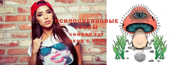 твердый Нягань