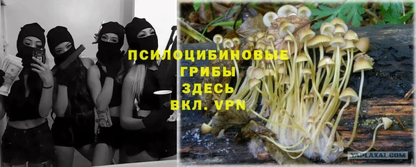 стаф Алзамай