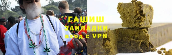 стаф Алзамай